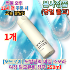 오드로이 모발탄력 바질 소포라 여성헤어로스완화샴푸 250ml