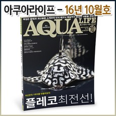 아쿠아라이프 2016년 10월호