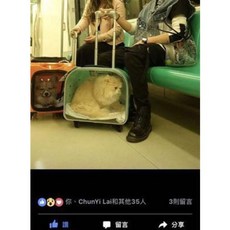 cc40ae321f257cb3ccdb528ac566fbee74947626e48b3f977f0e33e28eba.jpeg