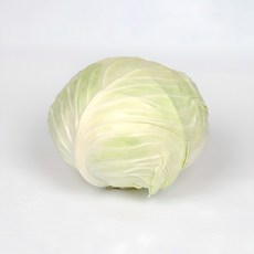 용이네 국내산 양배추 단단한 양배추 1통 2통 3통 적채 적양배추, 3개, 1.5kg
