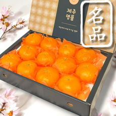 14brix 천상의맛 레드향 가정용 선물용, 1개, 3kg(선물용)