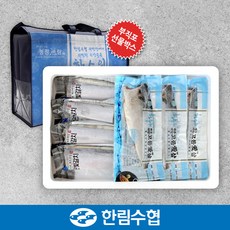 [수산대전20%쿠폰][제주 한림수협] 제주 은갈치 300gx3팩+고등어 120gx5팩+부직포가방, 단일속성, 1개