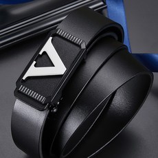 와일드브릭스벨트