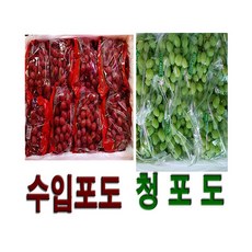 칠레산포도