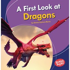 A First Look at Dragons Paperback, Lerner Publications (Tm)