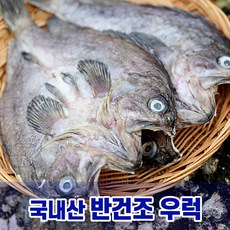 말린우럭