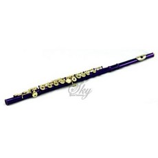 Sky Purple Lacquer Gold Keys Open Hole C Flute with 1 Year Man/529481, 상세내용참조, 상세내용참조