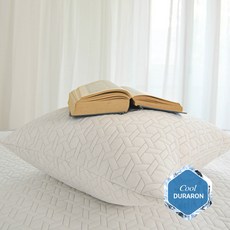 듀라론냉감쿠션커버50×50