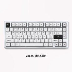 VGN VXE75 기계식키보드 75배열, 실버, 아니아축