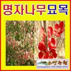 3cc88e6834c24b31306db5c51b7f761c47ec3c00022fdc5ea1591875a140.png