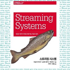 스트리밍 시스템 대용량 데이터 처리를 위한 핵심 개념과 원리, 단품