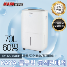 가야 블루칩 물소 제습기 KY-6538AUP 물통 자연배수 겸용 펌프형 산업용 업소용 공업용 사무실 창고 공장 지하 대형 대용량 70L 30-60평