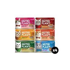 동원 뉴트리플랜 영양만점 대용량 160g x 24개 골라담기 고양이 습식 캔 6종류, 6종혼합