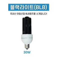 76f901e01227ebb3cfb32d656df042bf6fd2ca8f570a88d39b978d8d9714.jpg