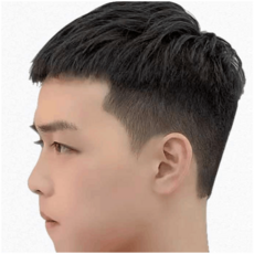 남자통풍가발