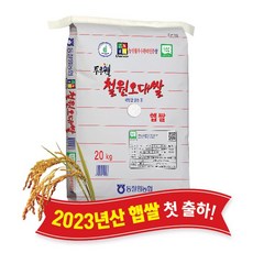 농협 철원 오대쌀, 20kg, 1개