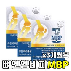 뼈 엔 엠비피 mbp종근당 MSM 3개월 12개월 1000mg 식약처인증, 90정, 3개