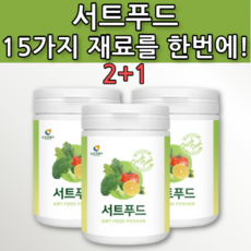 칠레의밤