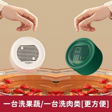 카스과일세척기