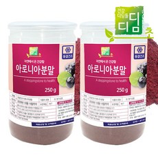 디딤초 동결건조 아로니아 분말 폴란드, 250g, 2개