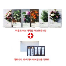 비욘드마스크팩