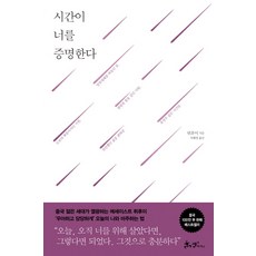 아이로너포터블