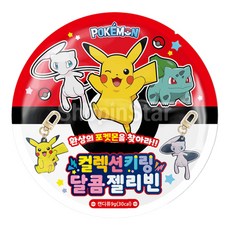 포켓몬스터키링