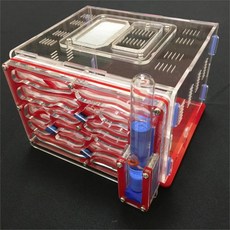 개미키우기 개미집 개미농장 큰9 가지 색상 사용 가능 DIY 수분 공급 영역 개미 둥지 농장 아크릴 곤충, [01] M, 01 M, 06 red_01 M