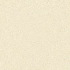 풀바디포세린타일