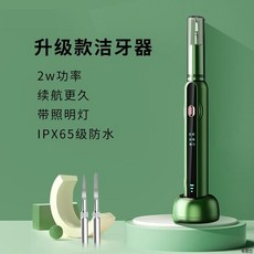 반려견 스케일링기 강아지초음파치석제거 고양이 케어 치석제거기 치석제거 셀프, 초음파 반려동물 스케일러 업그레이드형, 1개
