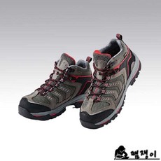 ses-t60