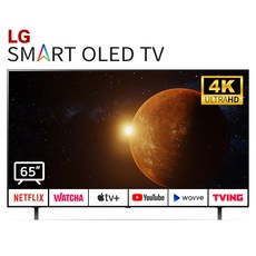 oled65인치