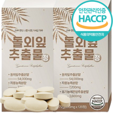 식약처인증 돌외잎 240정 8개월분 대용량 인정 HACCP 추출물 가루 추출 분말 정 캡슐 효능 추천, 2개, 120정