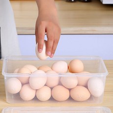냉동고선반