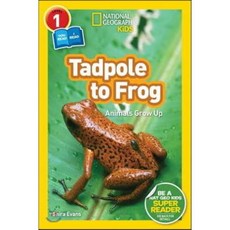 National Geographic Kids Readers Level 1 : Tadpole to Frog