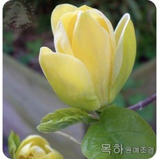 fd35b7afdee83cc426ffbeaf27509d354569703c933137bc14c6f0b6381e.jpg