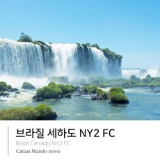 골드빈더치커피