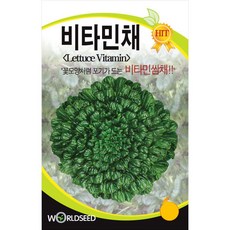 비타민채 씨앗 채소씨앗 야채씨앗 종자 쌈채 2000알, 1개