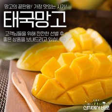 태국망고