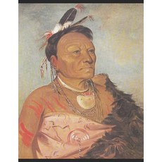 (영문도서) Wichita Kinship & Culture Paperback, Independently Published, English, 9781074165840