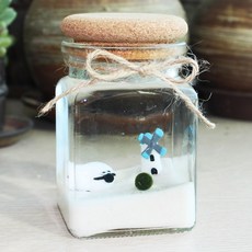 벅스앤미 마리모 키우기 세트 일본산 반려식물, 마리모키우기 대(양), 1개