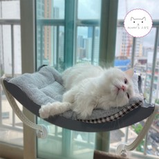 베베누보유리해먹