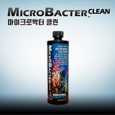 영아쿠아 브라이트웰 마이크로박터 클린, 1개, 500ml