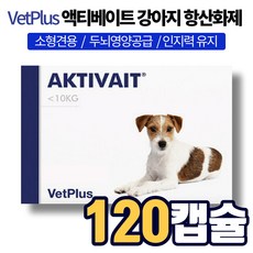  뱃플러스 액티베이트 엑티베이트 소형견 항산화제 두뇌영양제 강아지 개 반려견 반려동물 보조제 두뇌 영양 공급 인지력 유지 뇌 기억 향상 비타민 C E 영양제 간식, 2박스, 21g(60캡슐) 