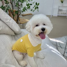 포레스펫 강아지 동물 카라티 티셔츠 유치원옷, 라이트블루, 1개