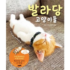 발라당 고양이들, 윌스타일(WILLSTYLE), 스무조