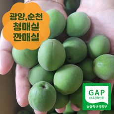 [5월 30일 첫 발송] 광양매실 순천매실 청매실 깐매실, 광양매실(5월 30일부터), 1개, 광양매실 5kg(특)
