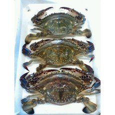 미자언니네맛간장