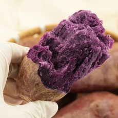 해남 자색고구마 3kg/5kg/10kg, 자색고구마 3kg 한입, 상세설명 참조