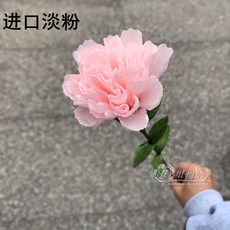 조화꽃 종이 주름 종이 카네이션 낱개 조화 부케 꽃꽃이 재료 실크플라워 인테리어 소품 꽃장식 촬영 소품-12345, 옵션03, 단일옵션